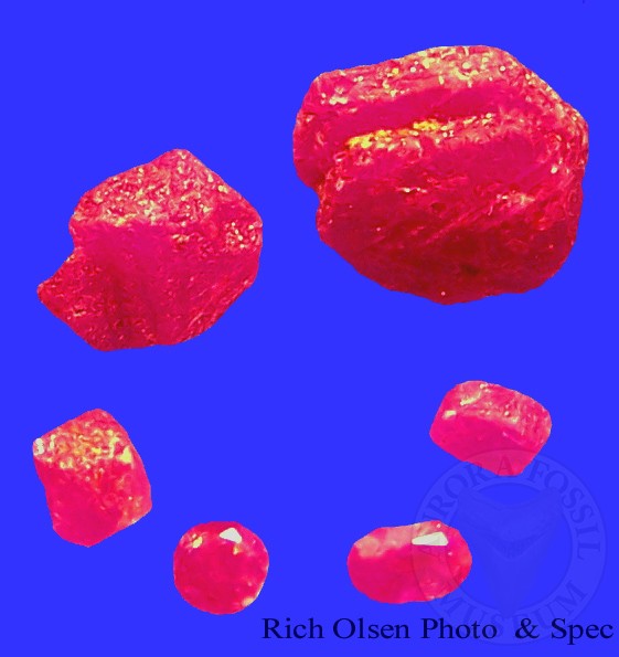 Minerals of North Carolina Aurora Fossil Museum